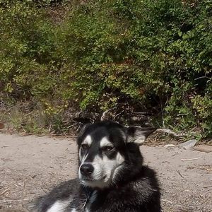 Meet your Posher, Marc